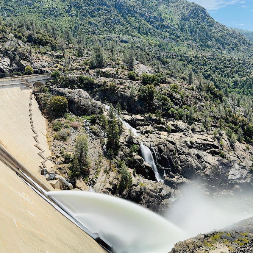 Municipal and Public Entity Litigation Banner