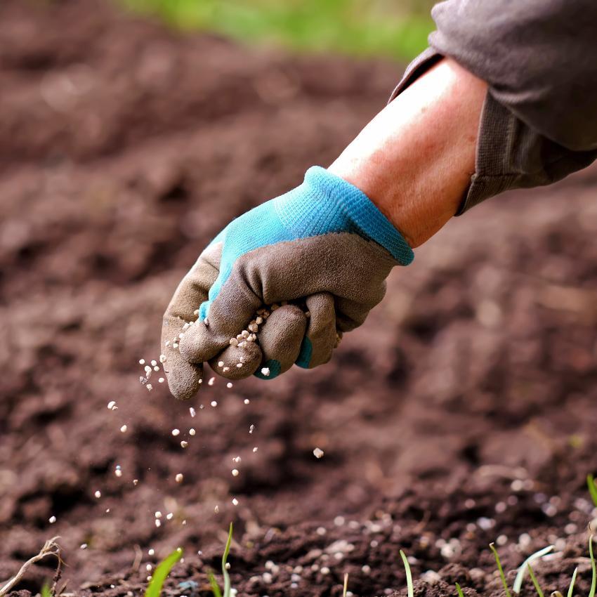 Fertilizer Price-Fixing