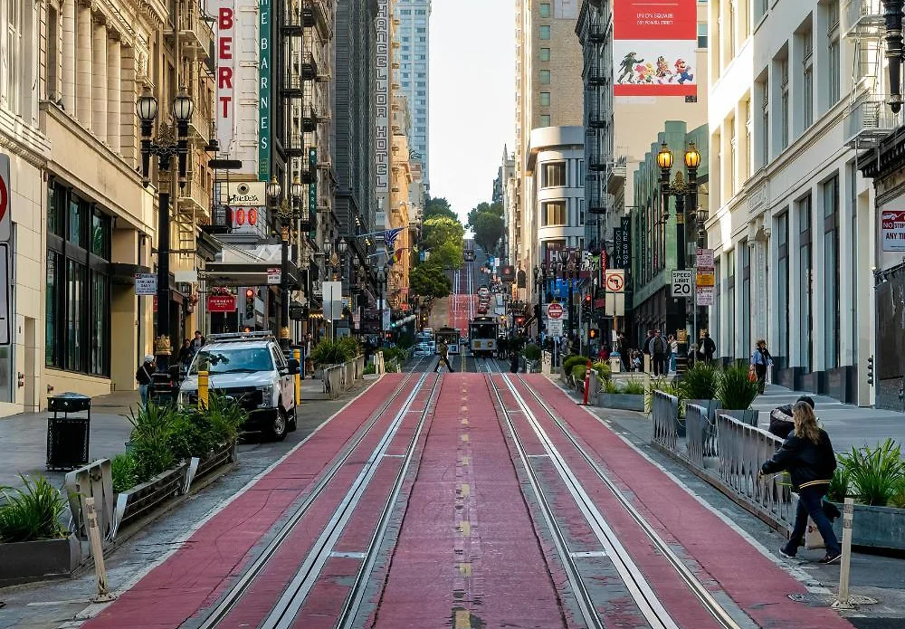 SF