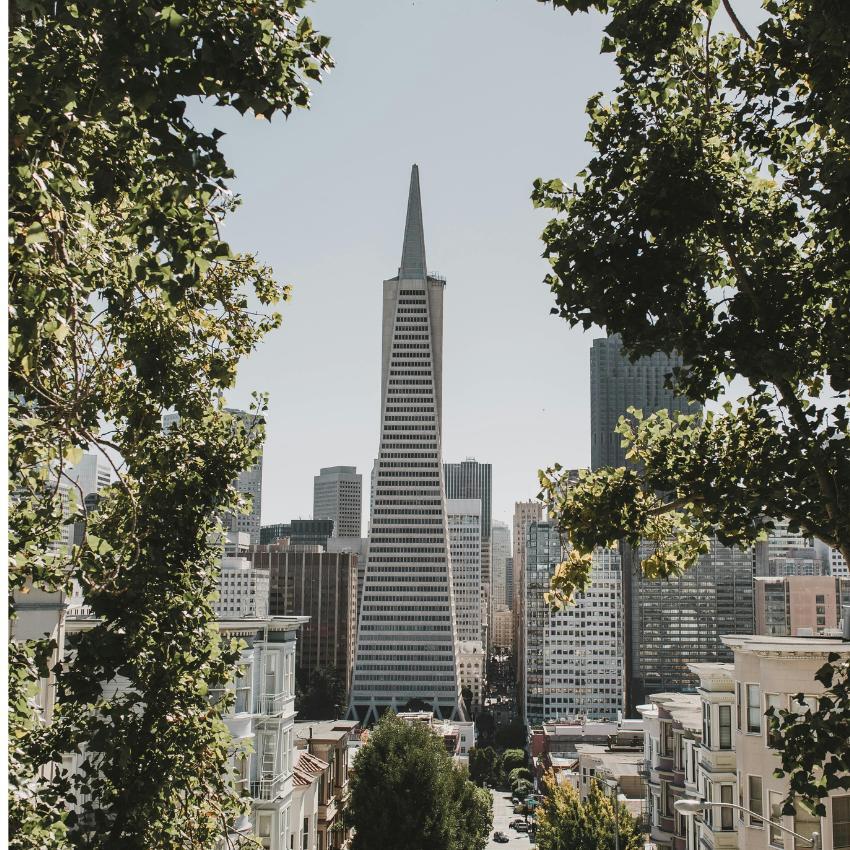 SF
